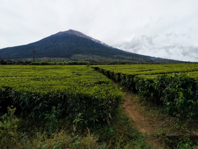 Mount Kerinci-Sumatra