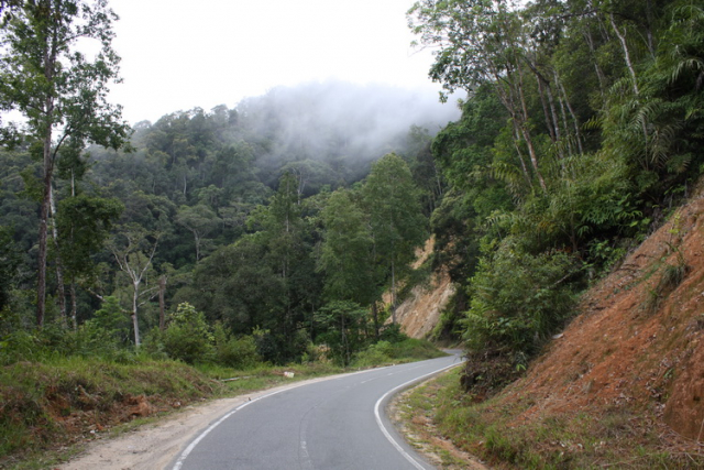 Tapan road
