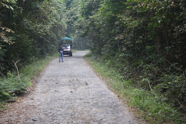 Way Kambas National Park