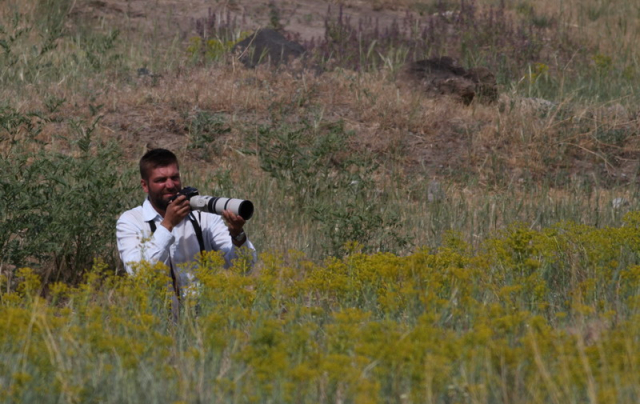 2012. Ararát, Törökörszág -pásztormadár